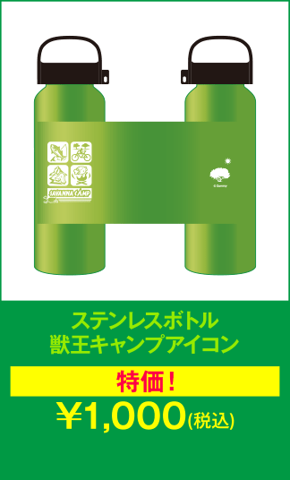 ステンレスボトル
