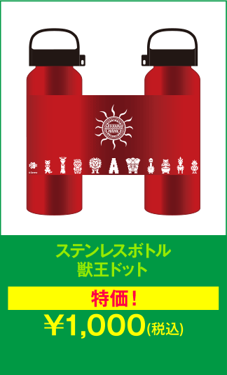ステンレスボトル