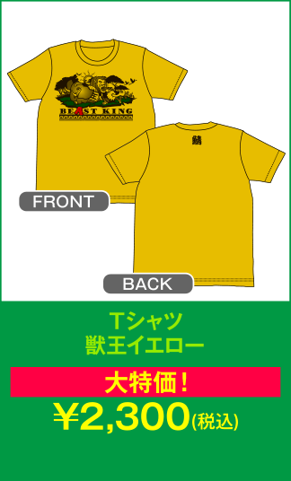 Tシャツ