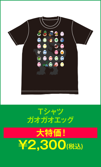 Tシャツ